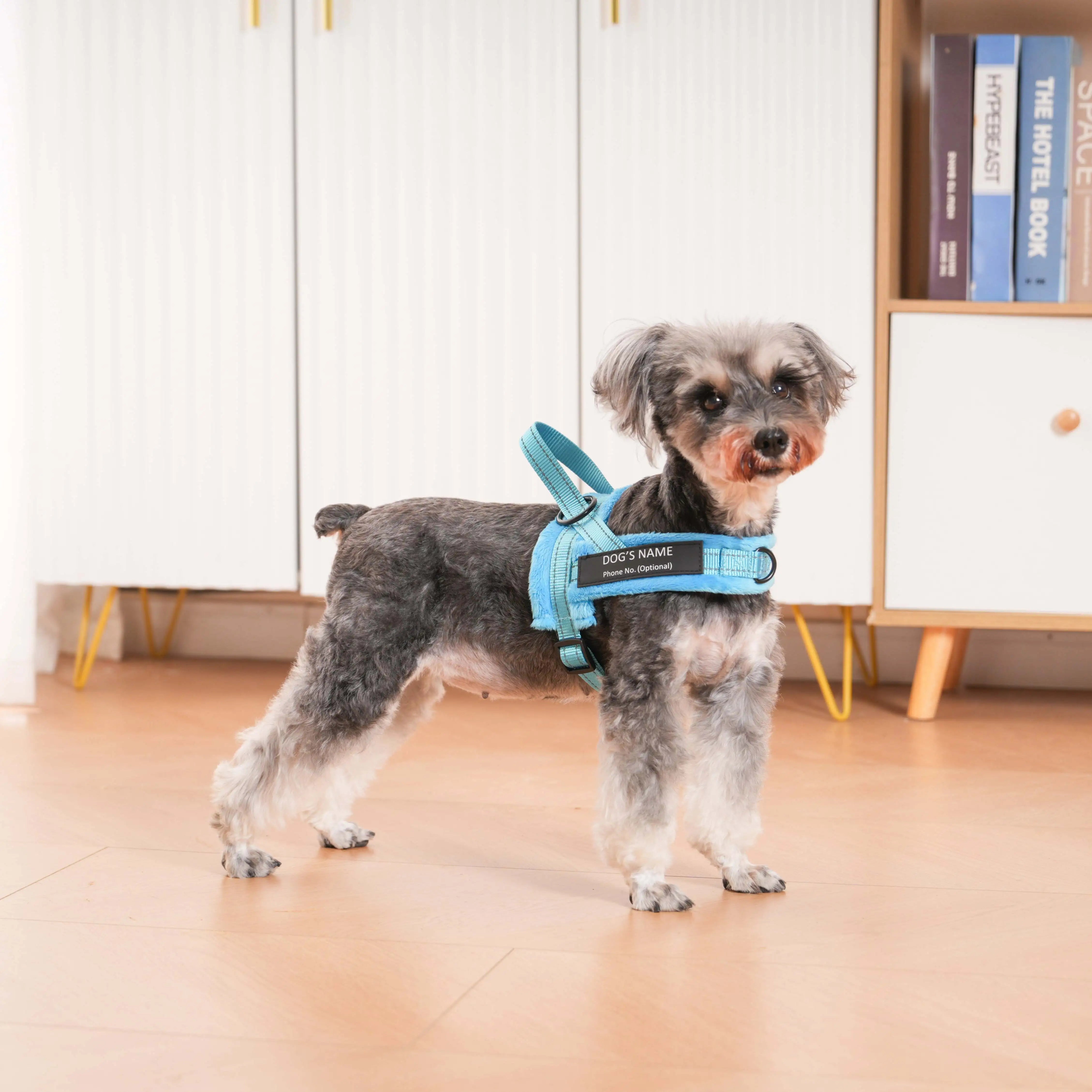 PawControl Pro | No-Pull Harness