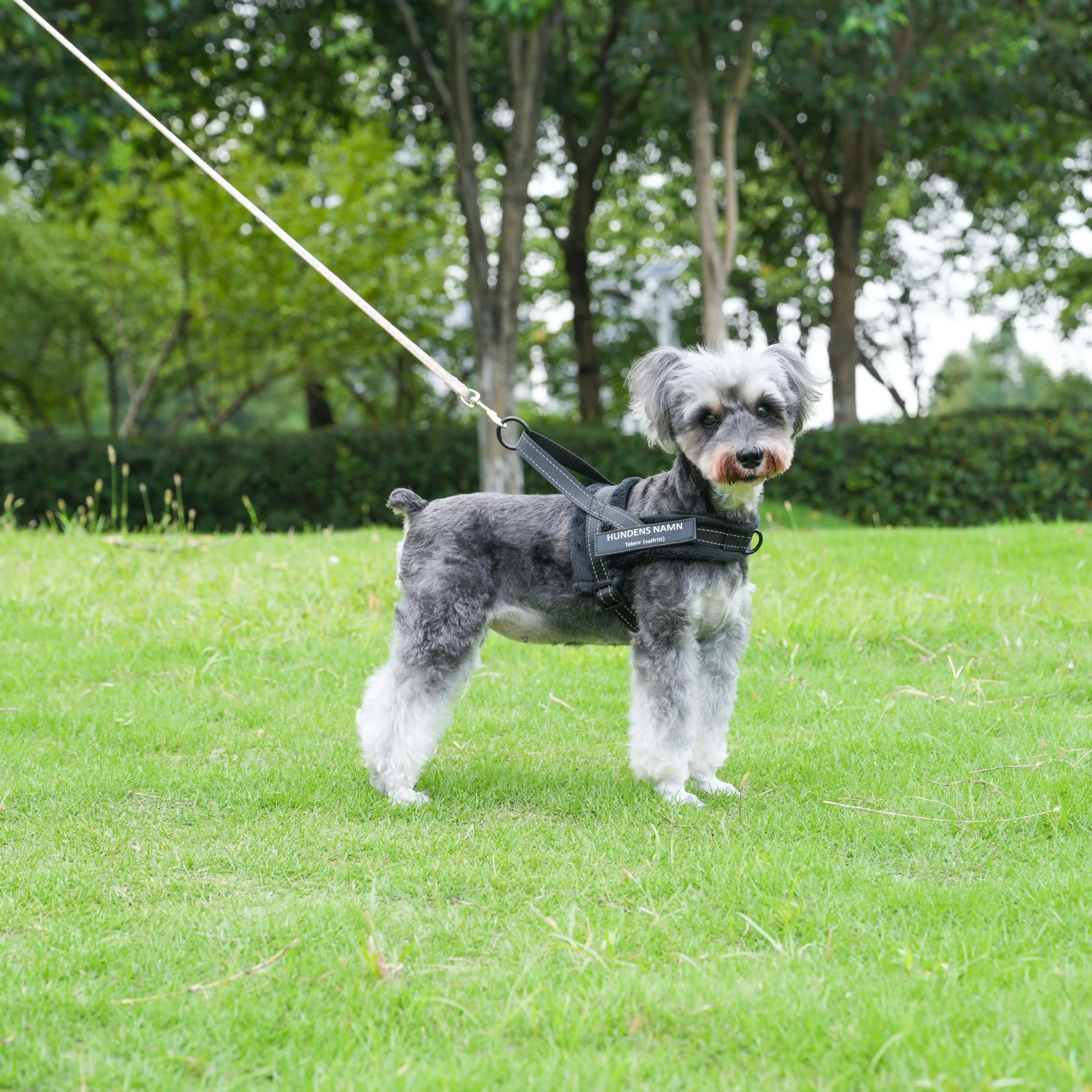 PawControl Pro | No-Pull Harness