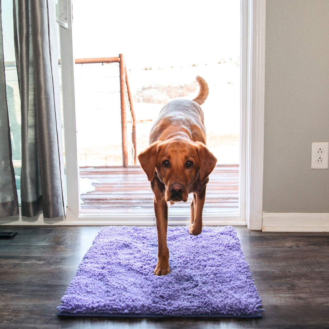 PawClean Mat | The Ultimate Dirt-Trapping Pet Mat