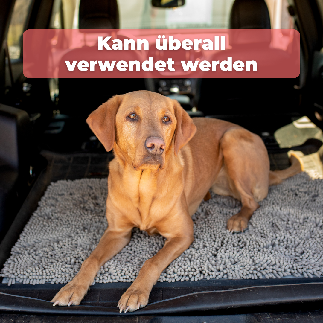 PawClean Mat | The Ultimate Dirt-Trapping Pet Mat