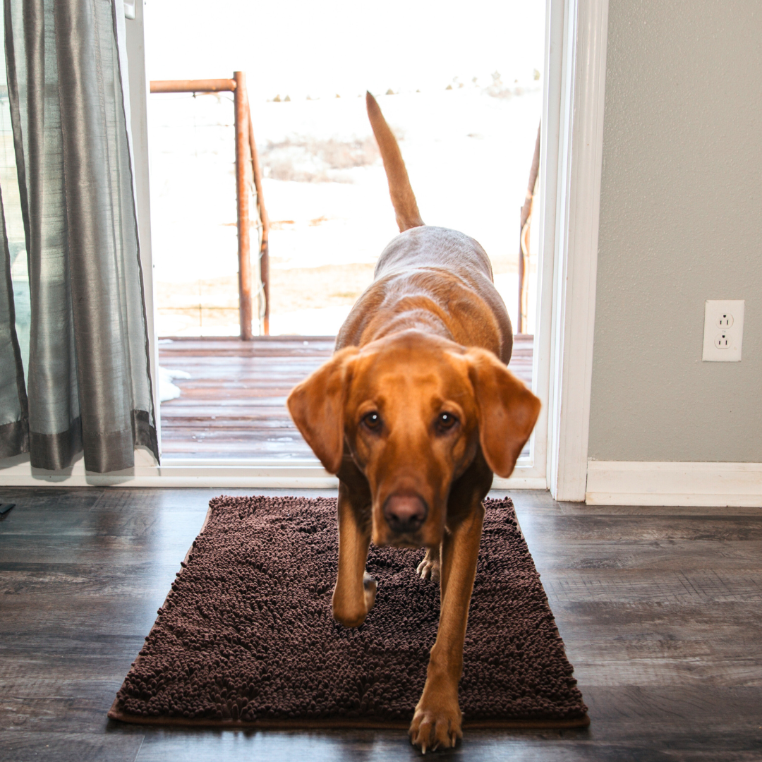 PawClean Mat | The Ultimate Dirt-Trapping Pet Mat