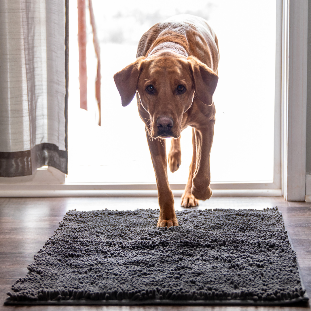 PawClean Mat | The Ultimate Dirt-Trapping Pet Mat