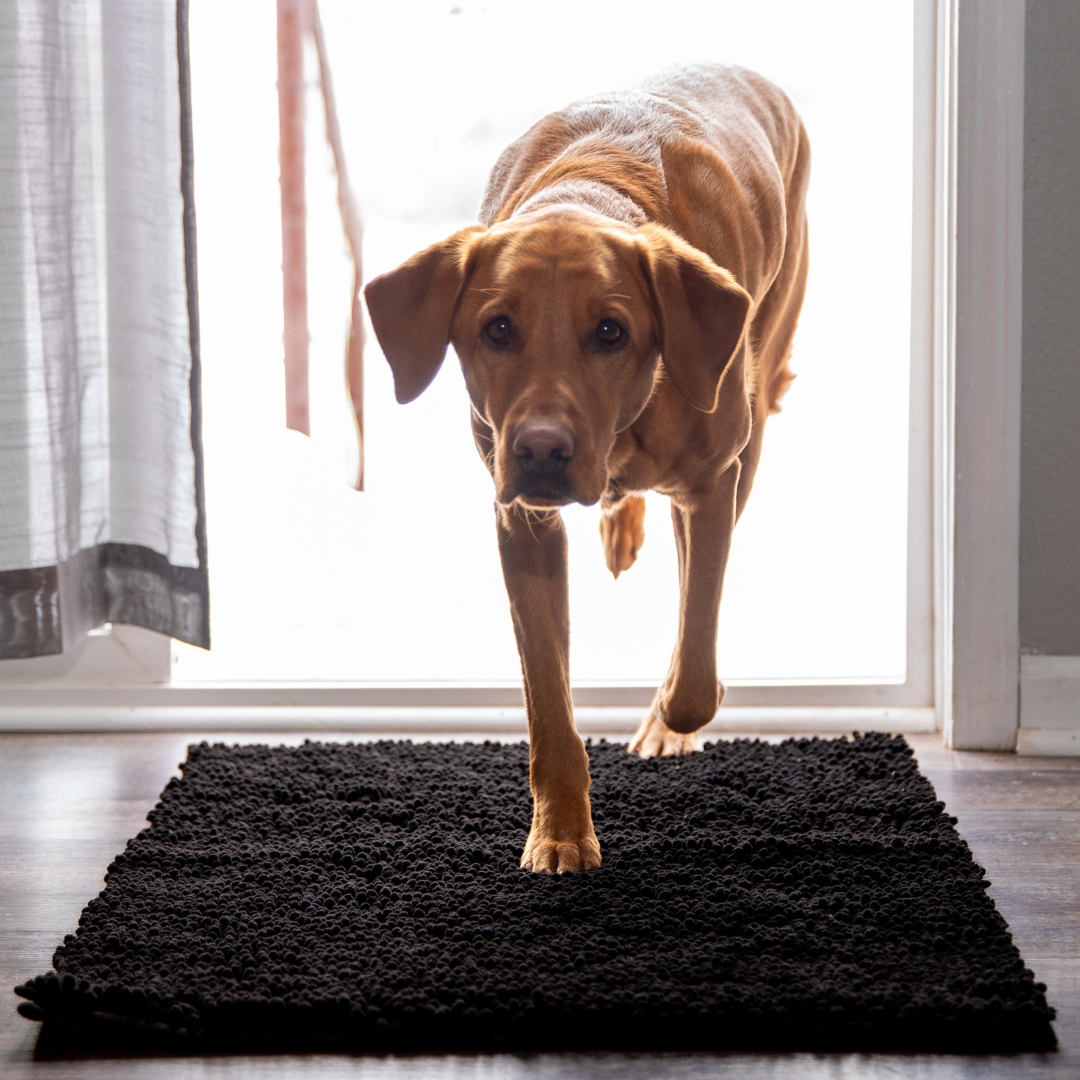 PawClean Mat | The Ultimate Dirt-Trapping Pet Mat